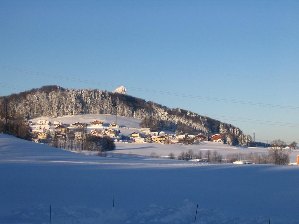 Pension Waldhof Koppl Exteriör bild