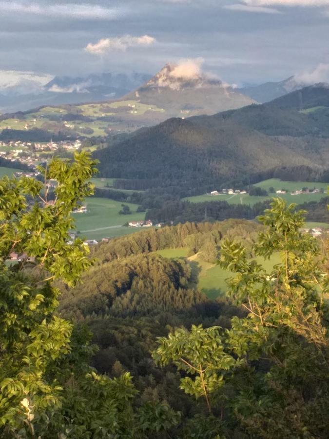 Pension Waldhof Koppl Exteriör bild